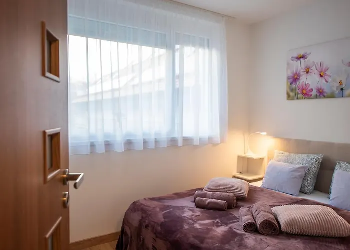 Cute Apartman- Free Parking